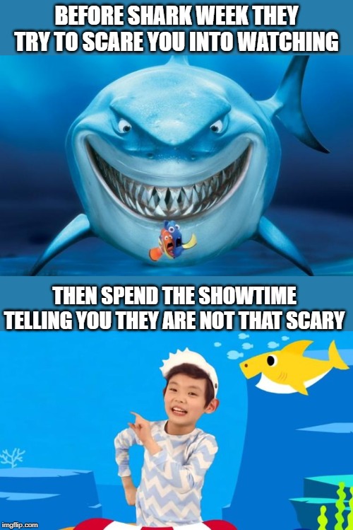 Right? |  BEFORE SHARK WEEK THEY TRY TO SCARE YOU INTO WATCHING; THEN SPEND THE SHOWTIME TELLING YOU THEY ARE NOT THAT SCARY | image tagged in hungry shark nemos,baby shark,memes,fun,shark week | made w/ Imgflip meme maker