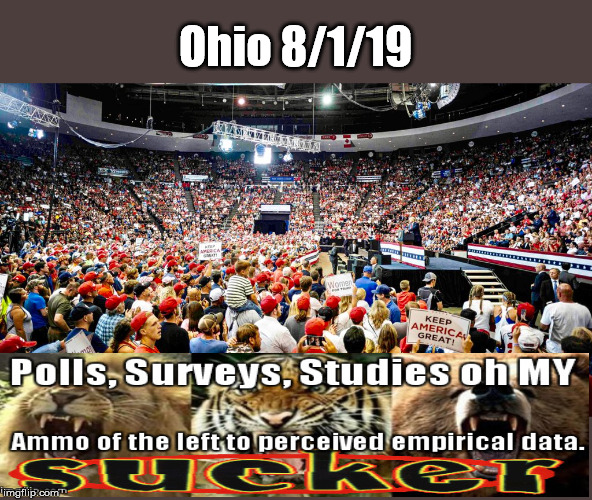 Polls vs Eye witness....Polls lose always | Ohio 8/1/19 | image tagged in hate trump,never trump,ameirkaka,democrats losing | made w/ Imgflip meme maker
