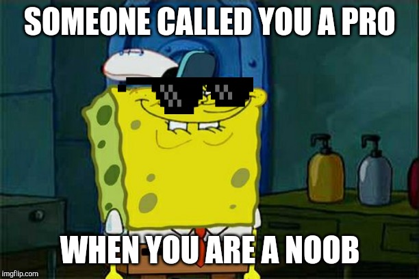 Don't You Squidward | SOMEONE CALLED YOU A PRO; WHEN YOU ARE A NOOB | image tagged in memes,dont you squidward | made w/ Imgflip meme maker