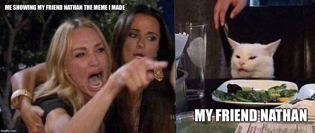 woman yelling at cat | ME SHOWING MY FRIEND NATHAN THE MEME I MADE; MY FRIEND NATHAN | image tagged in woman yelling at cat | made w/ Imgflip meme maker