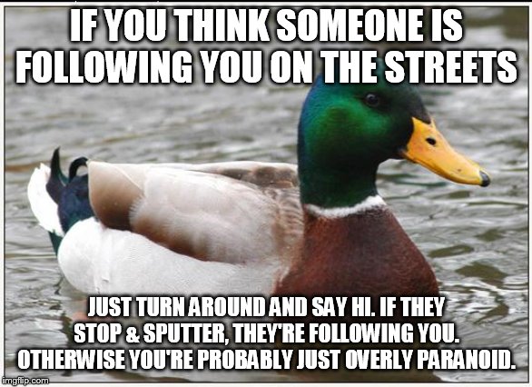 Stalker advice |  IF YOU THINK SOMEONE IS FOLLOWING YOU ON THE STREETS; JUST TURN AROUND AND SAY HI. IF THEY STOP & SPUTTER, THEY'RE FOLLOWING YOU.
OTHERWISE YOU'RE PROBABLY JUST OVERLY PARANOID. | image tagged in memes,actual advice mallard,stalker,following,streets,safety | made w/ Imgflip meme maker