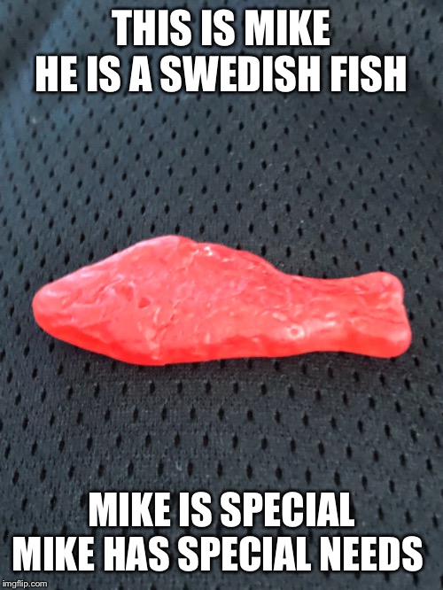 Mike the Swedish Fish | THIS IS MIKE HE IS A SWEDISH FISH; MIKE IS SPECIAL MIKE HAS SPECIAL NEEDS | image tagged in fun | made w/ Imgflip meme maker