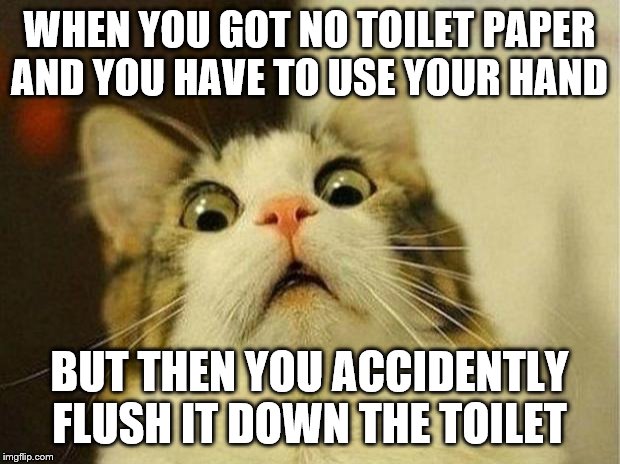 Scared Cat | WHEN YOU GOT NO TOILET PAPER AND YOU HAVE TO USE YOUR HAND; BUT THEN YOU ACCIDENTLY FLUSH IT DOWN THE TOILET | image tagged in memes,scared cat | made w/ Imgflip meme maker