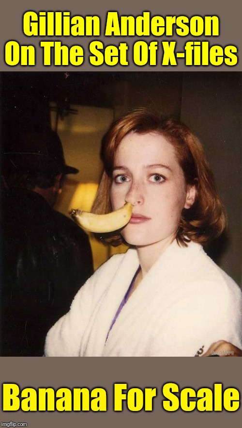 The Fruit Is Out There... | Gillian Anderson On The Set Of X-files; Banana For Scale | image tagged in memes,xfiles,gillian anderson,the truth is out there,fox mulder the x files,banana | made w/ Imgflip meme maker