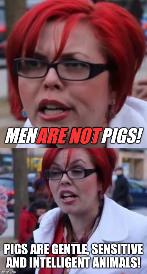 Turned a new leaf? | ARE NOT; MEN ARE NOT PIGS! PIGS ARE GENTLE, SENSITIVE AND INTELLIGENT ANIMALS! | image tagged in memes,triggered feminist | made w/ Imgflip meme maker