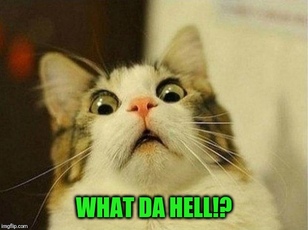 Scared Cat Meme | WHAT DA HELL!? | image tagged in memes,scared cat | made w/ Imgflip meme maker