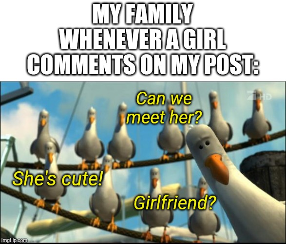 Nemo Seagulls Mine | MY FAMILY WHENEVER A GIRL COMMENTS ON MY POST:; Can we meet her? She's cute! Girlfriend? | image tagged in nemo seagulls mine | made w/ Imgflip meme maker