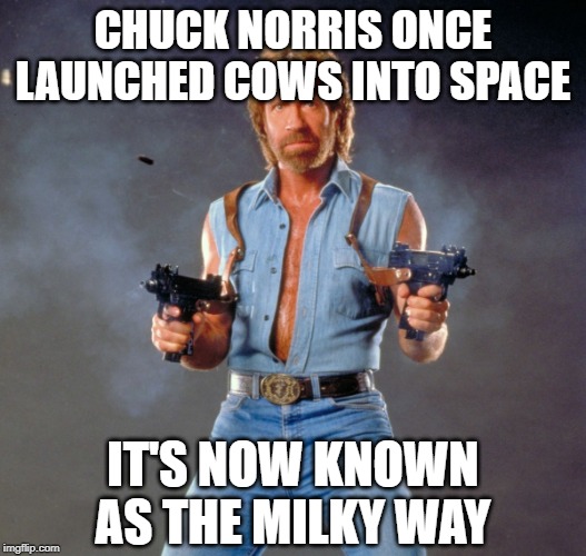 Cow am I supposed to udderstand this? | CHUCK NORRIS ONCE LAUNCHED COWS INTO SPACE; IT'S NOW KNOWN AS THE MILKY WAY | image tagged in memes,chuck norris guns,chuck norris,cows,outer space | made w/ Imgflip meme maker