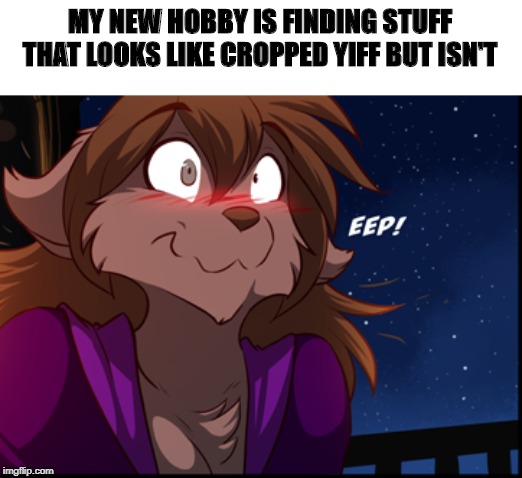 Not Cropped Yiff | MY NEW HOBBY IS FINDING STUFF THAT LOOKS LIKE CROPPED YIFF BUT ISN'T | image tagged in cropped yiff,twokinds,natani,furries | made w/ Imgflip meme maker