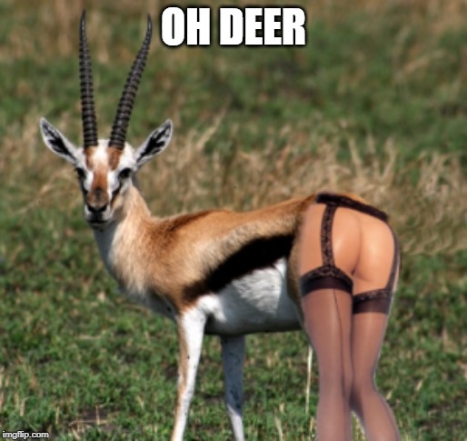 OH DEER | made w/ Imgflip meme maker