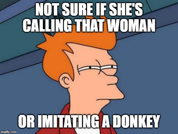 Futurama Fry Meme | NOT SURE IF SHE'S CALLING THAT WOMAN OR IMITATING A DONKEY | image tagged in memes,futurama fry | made w/ Imgflip meme maker