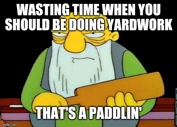 It's not a good idea to waste time when one should be doing yardwork | WASTING TIME WHEN YOU SHOULD BE DOING YARDWORK; THAT'S A PADDLIN' | image tagged in memes,that's a paddlin' | made w/ Imgflip meme maker