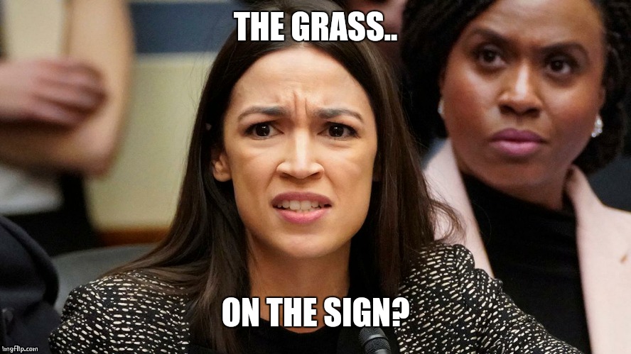 THE GRASS.. ON THE SIGN? | made w/ Imgflip meme maker