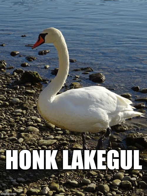 alternate names | HONK LAKEGUL | image tagged in alternate names | made w/ Imgflip meme maker