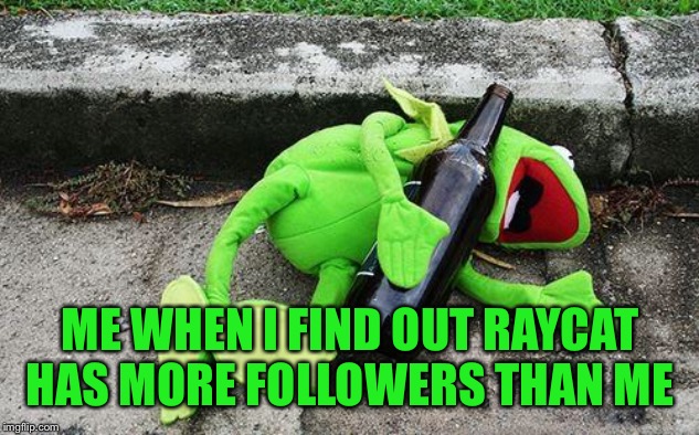 Drunk Kermit | ME WHEN I FIND OUT RAYCAT HAS MORE FOLLOWERS THAN ME | image tagged in drunk kermit,memes | made w/ Imgflip meme maker