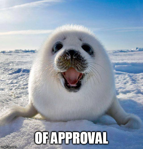 cute seal | OF APPROVAL | image tagged in cute seal | made w/ Imgflip meme maker