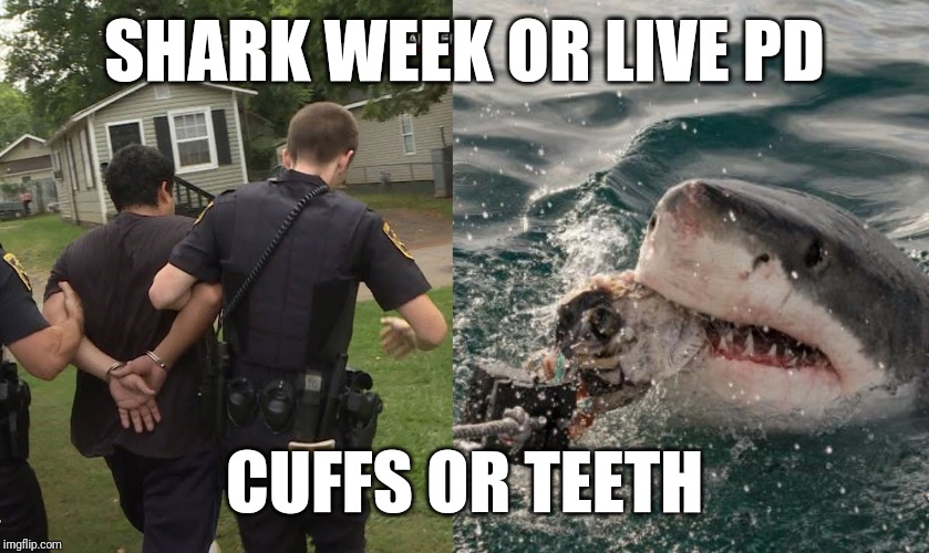 SHARK WEEK OR LIVE PD; CUFFS OR TEETH | image tagged in 2x2 pic | made w/ Imgflip meme maker