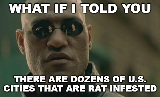 Why just focus on one? | WHAT IF I TOLD YOU; THERE ARE DOZENS OF U.S. CITIES THAT ARE RAT INFESTED | image tagged in memes,matrix morpheus,baltimore | made w/ Imgflip meme maker