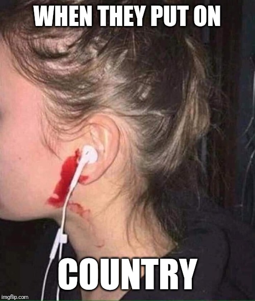 Ear Bleed | WHEN THEY PUT ON; COUNTRY | image tagged in ear bleed | made w/ Imgflip meme maker