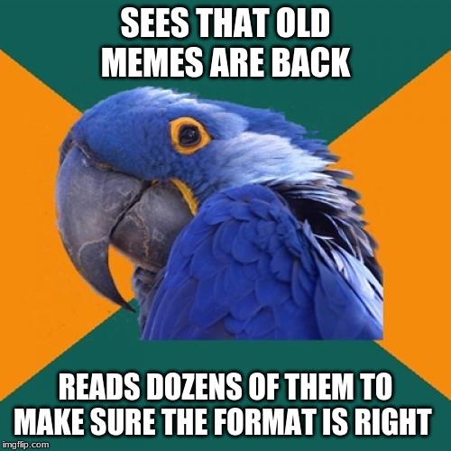 Paranoid Parrot Meme | SEES THAT OLD MEMES ARE BACK; READS DOZENS OF THEM TO MAKE SURE THE FORMAT IS RIGHT | image tagged in memes,paranoid parrot,AdviceAnimals | made w/ Imgflip meme maker