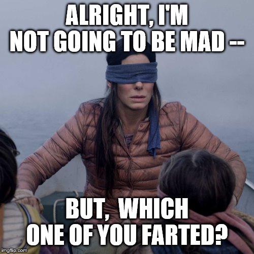 Bird Box Meme | ALRIGHT, I'M NOT GOING TO BE MAD --; BUT,  WHICH ONE OF YOU FARTED? | image tagged in memes,bird box | made w/ Imgflip meme maker
