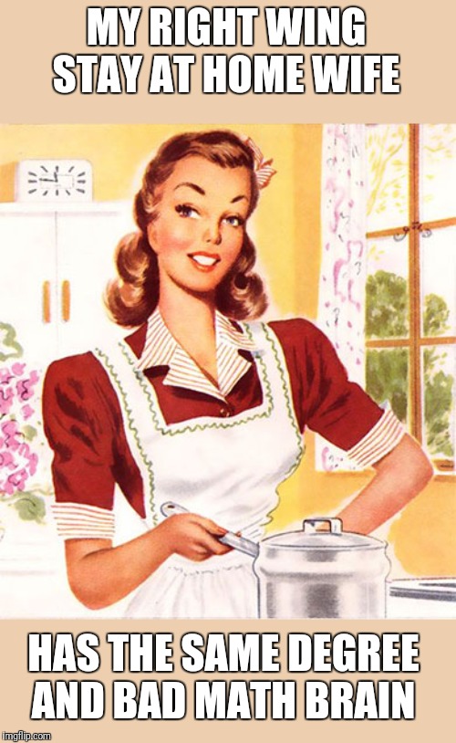 50s Housewife | MY RIGHT WING STAY AT HOME WIFE HAS THE SAME DEGREE AND BAD MATH BRAIN | image tagged in 50s housewife | made w/ Imgflip meme maker