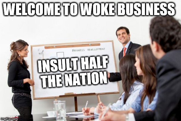 business presentation | WELCOME TO WOKE BUSINESS; INSULT HALF THE NATION | image tagged in business presentation | made w/ Imgflip meme maker