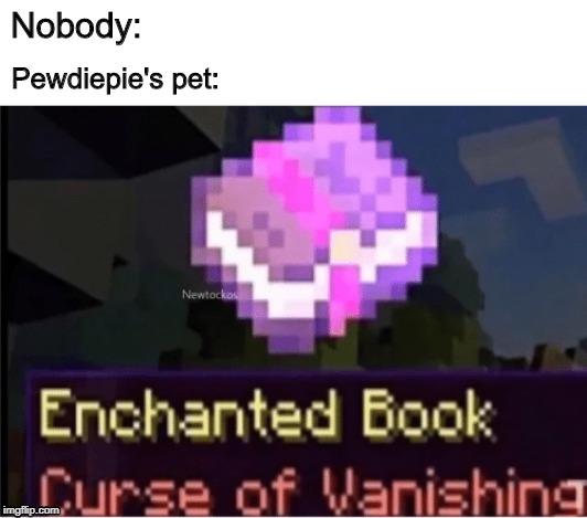 Pewdiepie's pet:; Nobody: | image tagged in true story | made w/ Imgflip meme maker