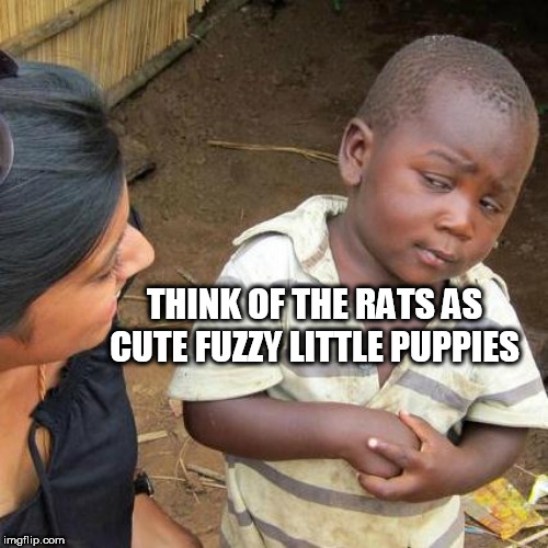 Third World Skeptical Kid Meme | THINK OF THE RATS AS CUTE FUZZY LITTLE PUPPIES | image tagged in memes,third world skeptical kid | made w/ Imgflip meme maker