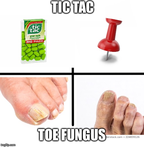 Blank Starter Pack | TIC TAC; TOE FUNGUS | image tagged in memes,blank starter pack | made w/ Imgflip meme maker