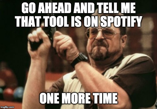 Am I The Only One Around Here Meme | GO AHEAD AND TELL ME THAT TOOL IS ON SPOTIFY; ONE MORE TIME | image tagged in memes,am i the only one around here | made w/ Imgflip meme maker