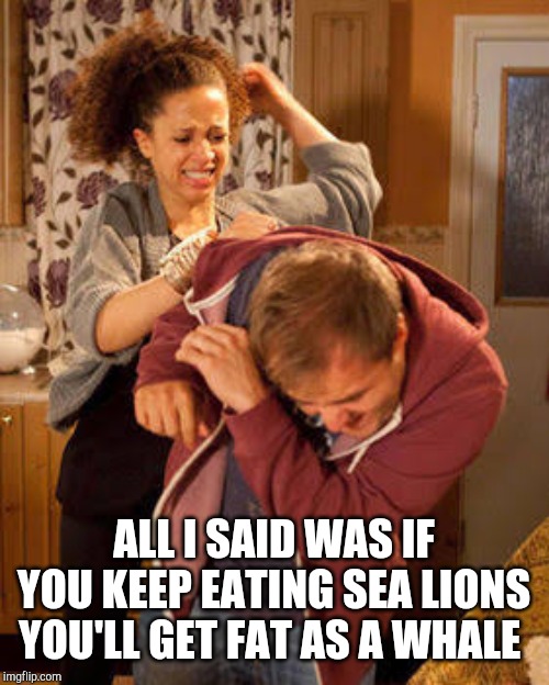 battered husband | ALL I SAID WAS IF YOU KEEP EATING SEA LIONS YOU'LL GET FAT AS A WHALE | image tagged in battered husband | made w/ Imgflip meme maker