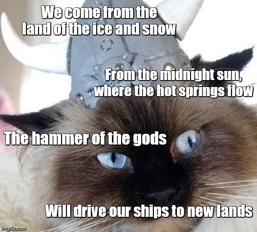 Viking Cat | We come from the land of the ice and snow; From the midnight sun, where the hot springs flow; The hammer of the gods; Will drive our ships to new lands | image tagged in cats,vikings,led zeppelin,songs,song lyrics,funny cats | made w/ Imgflip meme maker