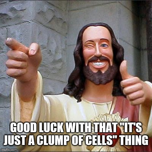 Buddy Christ Meme | GOOD LUCK WITH THAT "IT'S JUST A CLUMP OF CELLS" THING | image tagged in memes,buddy christ | made w/ Imgflip meme maker