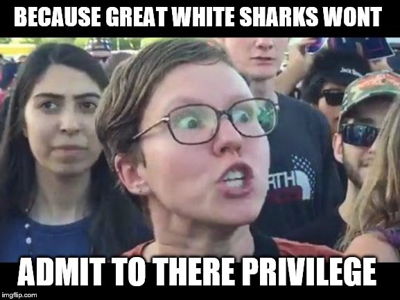 Angry sjw | BECAUSE GREAT WHITE SHARKS WONT ADMIT TO THERE PRIVILEGE | image tagged in angry sjw | made w/ Imgflip meme maker