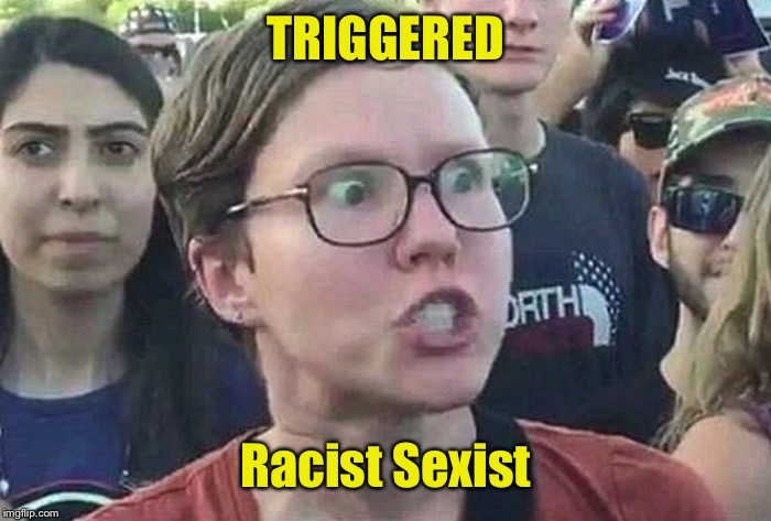 Triggered Liberal | TRIGGERED Racist Sexist | image tagged in triggered liberal | made w/ Imgflip meme maker