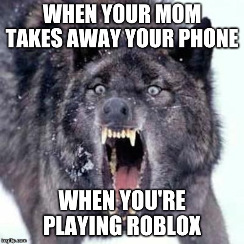 Angry Wolf | WHEN YOUR MOM TAKES AWAY YOUR PHONE; WHEN YOU'RE PLAYING ROBLOX | image tagged in angry wolf | made w/ Imgflip meme maker
