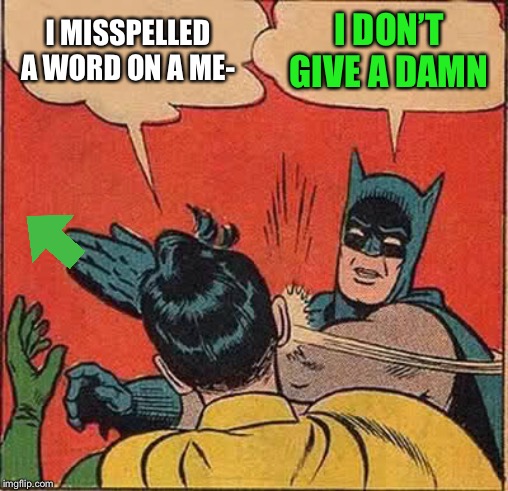 Batman Slapping Robin Meme | I MISSPELLED A WORD ON A ME- I DON’T GIVE A DAMN | image tagged in memes,batman slapping robin | made w/ Imgflip meme maker