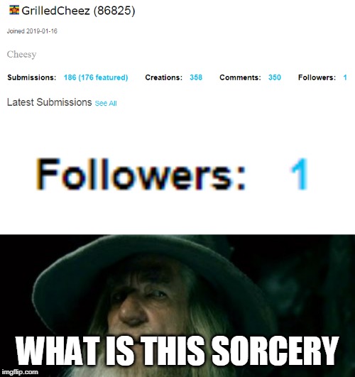 WHAT IS THIS SORCERY | image tagged in memes,confused gandalf,followers,profile | made w/ Imgflip meme maker