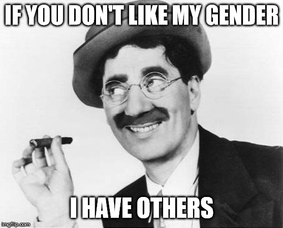 Groucho Marx | IF YOU DON'T LIKE MY GENDER; I HAVE OTHERS | image tagged in groucho marx | made w/ Imgflip meme maker
