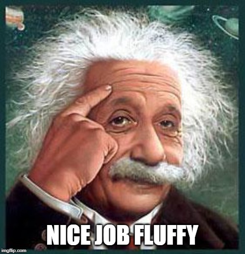 einstein | NICE JOB FLUFFY | image tagged in einstein | made w/ Imgflip meme maker