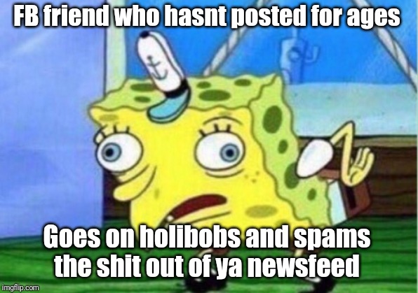 Mocking Spongebob Meme |  FB friend who hasnt posted for ages; Goes on holibobs and spams the shit out of ya newsfeed | image tagged in memes,mocking spongebob | made w/ Imgflip meme maker
