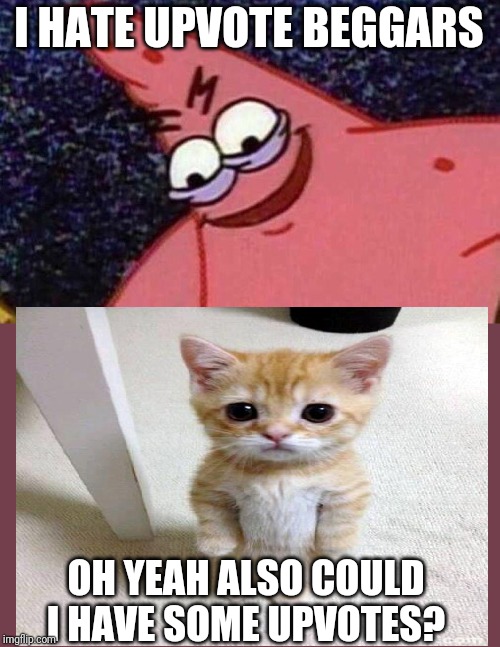 Haters be like | I HATE UPVOTE BEGGARS; OH YEAH ALSO COULD I HAVE SOME UPVOTES? | image tagged in evil patrick,cute cat,memes,funny,upvotes,begging for upvotes | made w/ Imgflip meme maker