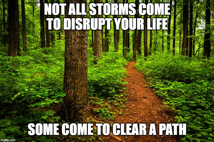 the calm after the storm | NOT ALL STORMS COME TO DISRUPT YOUR LIFE; SOME COME TO CLEAR A PATH | image tagged in forest path | made w/ Imgflip meme maker