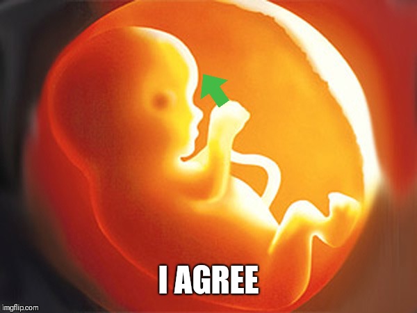 unborn child | I AGREE | image tagged in unborn child | made w/ Imgflip meme maker