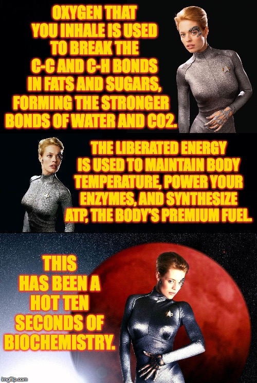 A hot ten seconds of biochemistry. | OXYGEN THAT YOU INHALE IS USED TO BREAK THE C-C AND C-H BONDS IN FATS AND SUGARS, FORMING THE STRONGER BONDS OF WATER AND CO2. THE LIBERATED ENERGY IS USED TO MAINTAIN BODY TEMPERATURE, POWER YOUR ENZYMES, AND SYNTHESIZE ATP, THE BODY'S PREMIUM FUEL. THIS HAS BEEN A HOT TEN SECONDS OF BIOCHEMISTRY. | image tagged in memes,seven of nine,jeri ryan,star trek,chemistry,biochemistry | made w/ Imgflip meme maker