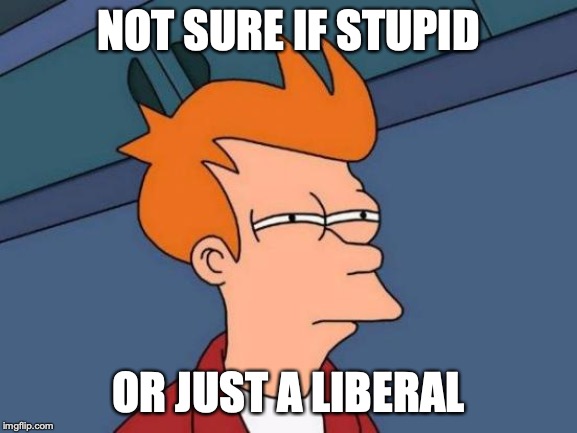 Futurama Fry Meme | NOT SURE IF STUPID OR JUST A LIBERAL | image tagged in memes,futurama fry | made w/ Imgflip meme maker