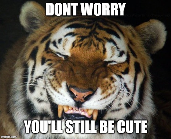 HAPPY TIGER | DONT WORRY YOU'LL STILL BE CUTE | image tagged in happy tiger | made w/ Imgflip meme maker