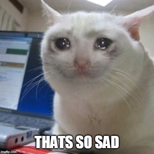 Crying cat | THATS SO SAD | image tagged in crying cat | made w/ Imgflip meme maker