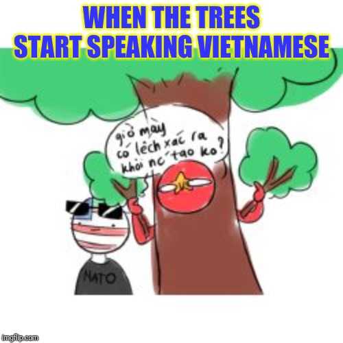 THE TREES | WHEN THE TREES START SPEAKING VIETNAMESE | image tagged in countryhuman,trees | made w/ Imgflip meme maker